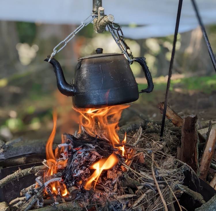 Bushcraft